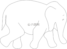 象,哺乳動物,動物