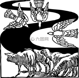鳥,鴿子,谷倉(cāng)