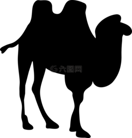駱駝,側影,駝峰