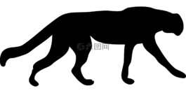 獵豹,貓,非洲