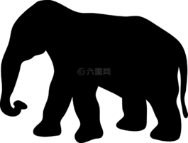 象,動物,哺乳動物