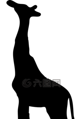 長頸鹿,黑,側(cè)影