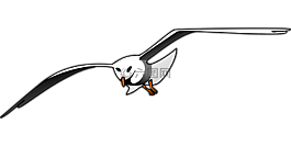 鳥,海鷗,飛行