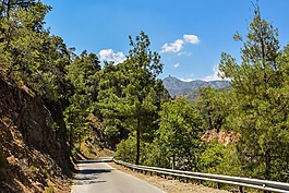 路,森林,農(nóng)村