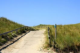 沙丘,海灘,北海