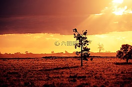 夜幕降臨,肖,黃昏