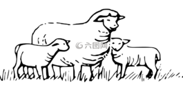 羊,動(dòng)物,原野