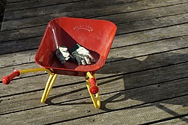 園藝,兒童玩具,獨(dú)輪車