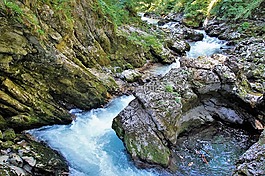 該vintgar峽谷,vintgar,污