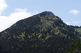 山,阿爾高,高山
