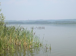 河,海灘,天空