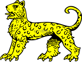 盾構(gòu),黃金,外套