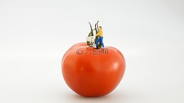 番茄,蔬菜,紅色