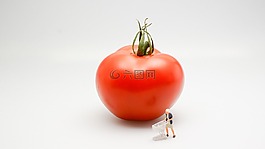 番茄,食品,蔬菜