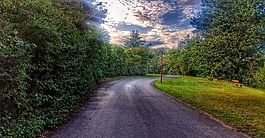 路,性質,景觀
