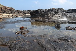 潮池,海洋,夏威夷
