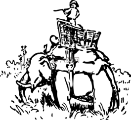 象,男子,骑