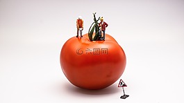 番茄,食品,蔬菜