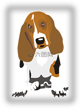 狗,小獵犬,寵物