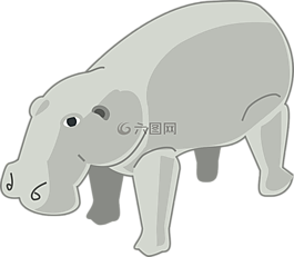 灰色,大,動(dòng)物