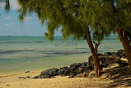 整體的一部分水域,海灘,海岸