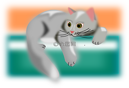 貓,動物,休息