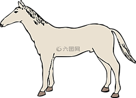 馬,野馬,種馬