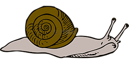 移動(dòng),蝸牛,長