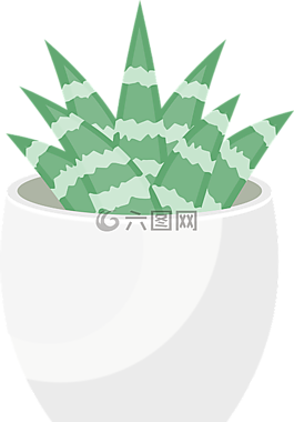 sukulent,花盆,工廠