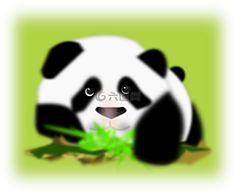 熊貓,熊,回