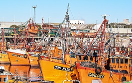 小船,船,釣魚