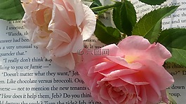 兩個(gè)玫瑰,書,粉紅玫瑰