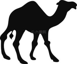 駱駝,動物,駝峰