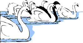 天鵝,鳥(niǎo),動(dòng)物