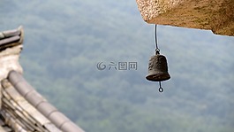 大自然,景觀,物種