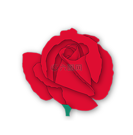 玫瑰,花,植物區(qū)系