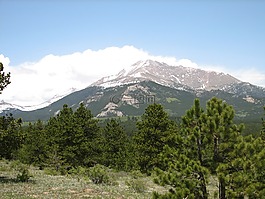 山,戶外,樹