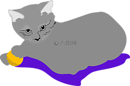 貓,寵物,動(dòng)物