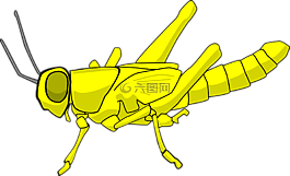 蝗虫,害虫,昆虫