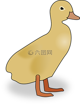 小鴨,鴨,嬰兒