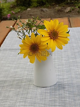夏季鮮花,黃色,花瓶