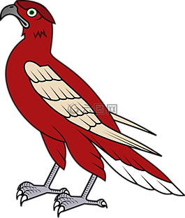 鷹,鳥,獵鷹