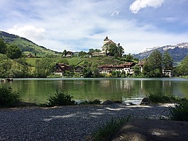 湖,夏季,瑞士