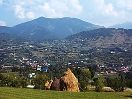 草堆,景观,山