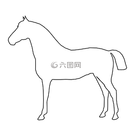 馬,動物,哺乳動物