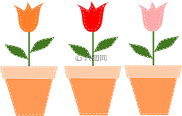 花盆,郁金香,鮮花