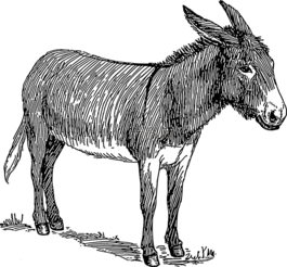 驢,頭,站在