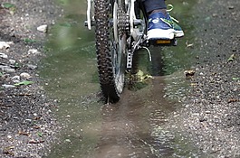自行車,池,騎