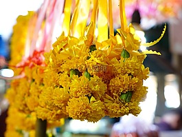 茉莉花鲜花,泰国,祈祷