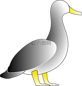 鴨,鳥,白